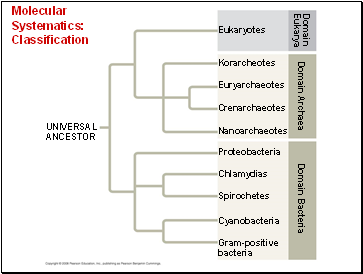 Molecular Systematics: Classification