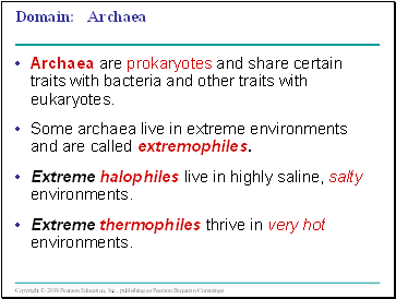 Domain: Archaea