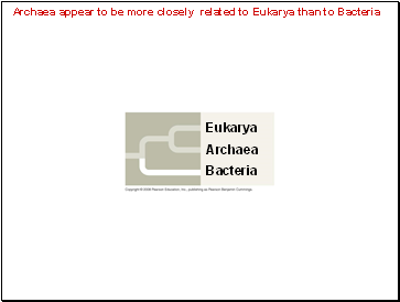Archaea appear to be more closely related to Eukarya than to Bacteria