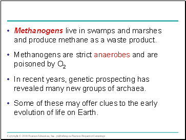 Methanogens live in swamps and marshes and produce methane as a waste product.