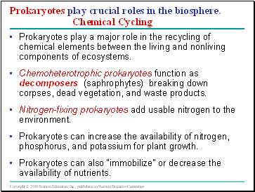 Prokaryotes play crucial roles in the biosphere. Chemical Cycling