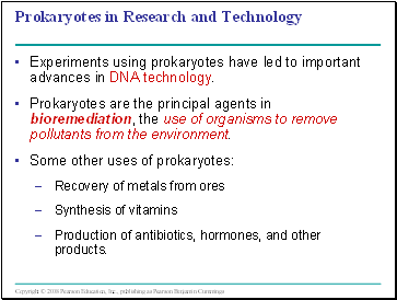 Prokaryotes in Research and Technology