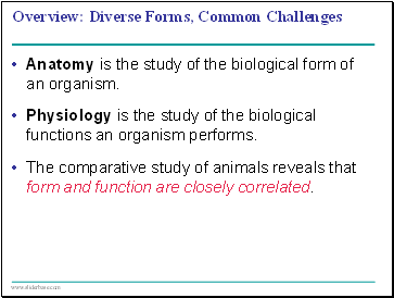 Basic Principles of Animal Form and Function