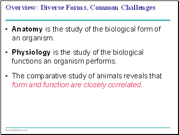 Diverse Forms, Common Challenges