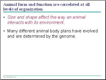 Animal form and function are correlated at all levels of organization