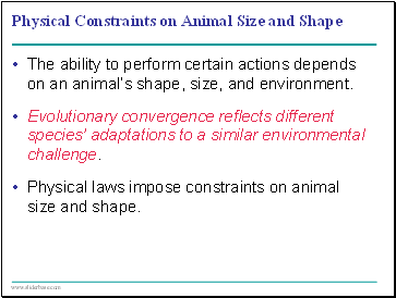 Physical Constraints on Animal Size and Shape