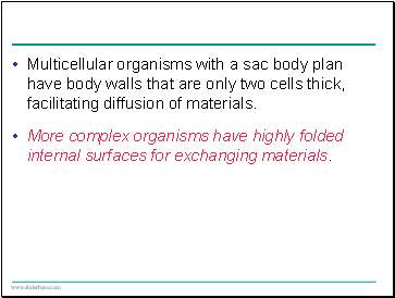 Multicellular organisms with a sac body plan have body walls that are only two cells thick, facilitating diffusion of materials.