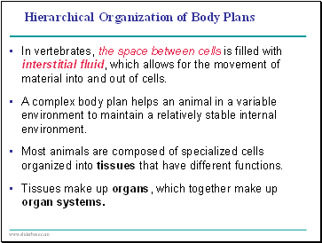 Hierarchical Organization of Body Plans