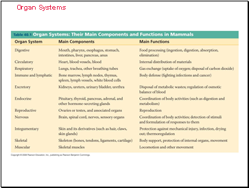 Organ Systems