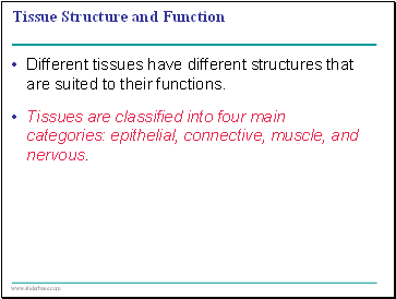 Tissue Structure and Function