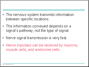 The nervous system transmits information between specific locations.