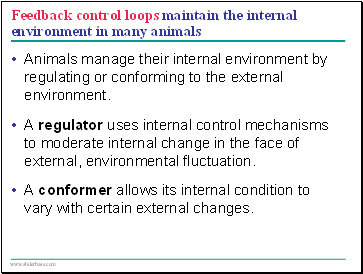 Feedback control loops maintain the internal environment in many animals