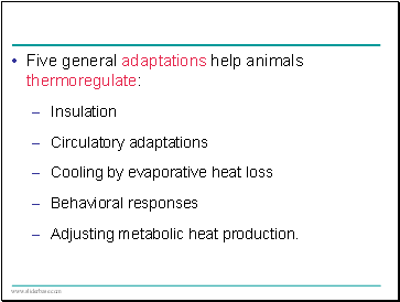 Five general adaptations help animals thermoregulate: