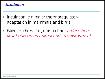 Insulation