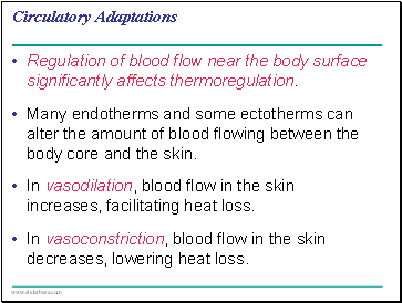 Circulatory Adaptations