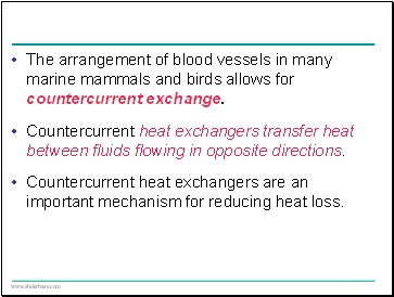 The arrangement of blood vessels in many marine mammals and birds allows for countercurrent exchange.