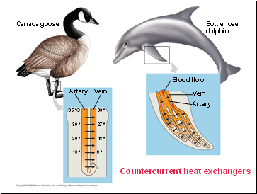 Countercurrent heat exchangers