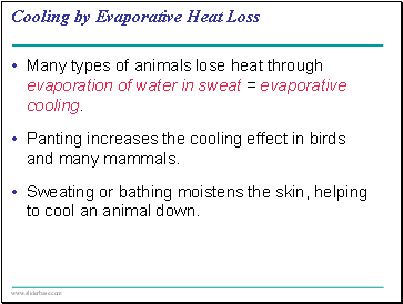 Cooling by Evaporative Heat Loss