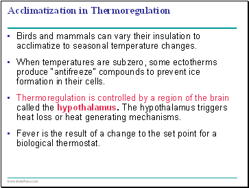 Acclimatization in Thermoregulation