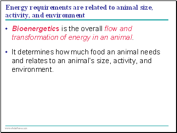 Energy requirements are related to animal size, activity, and environment
