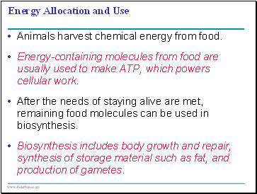 Energy Allocation and Use