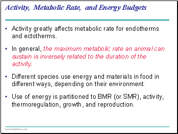 Activity greatly affects metabolic rate for endotherms and ectotherms.