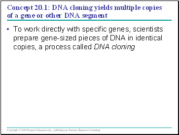 Concept 20.1: DNA cloning yields multiple copies of a gene or other DNA segment