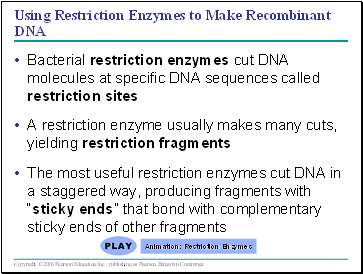 Using Restriction Enzymes to Make Recombinant DNA