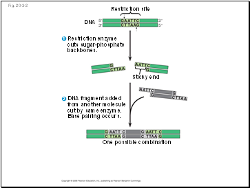 Fig. 20-3-2