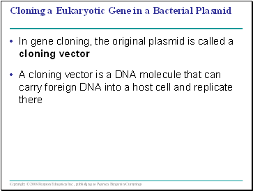 Cloning a Eukaryotic Gene in a Bacterial Plasmid