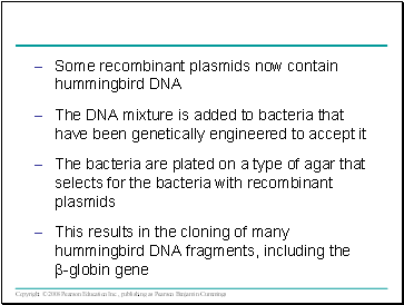 Some recombinant plasmids now contain hummingbird DNA