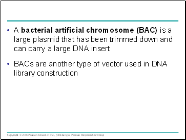 A bacterial artificial chromosome (BAC) is a large plasmid that has been trimmed down and can carry a large DNA insert