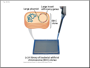 Fig. 20-5b