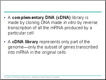 A complementary DNA (cDNA) library is made by cloning DNA made in vitro by reverse transcription of all the mRNA produced by a particular cell