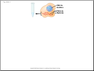 Fig. 20-6-1