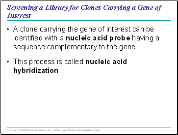 Screening a Library for Clones Carrying a Gene of Interest