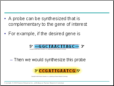 A probe can be synthesized that is complementary to the gene of interest
