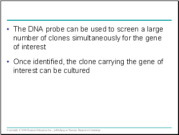 The DNA probe can be used to screen a large number of clones simultaneously for the gene of interest