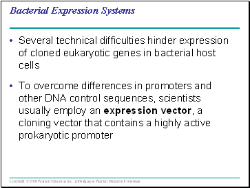 Bacterial Expression Systems