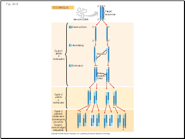 Fig. 20-8