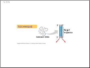 Fig. 20-8a