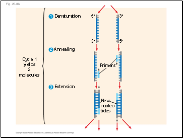 Fig. 20-8b