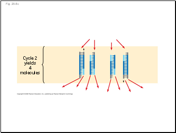 Fig. 20-8c