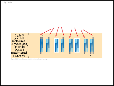 Fig. 20-8d