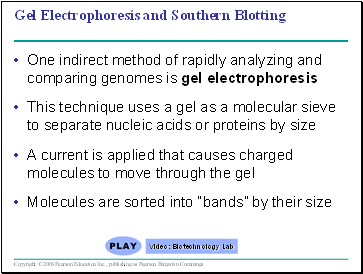 Gel Electrophoresis and Southern Blotting