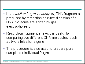 In restriction fragment analysis, DNA fragments produced by restriction enzyme digestion of a DNA molecule are sorted by gel electrophoresis