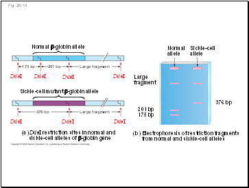 Fig. 20-10