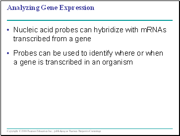 Analyzing Gene Expression