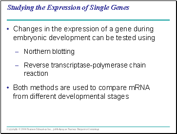 Studying the Expression of Single Genes