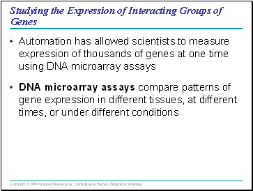 Studying the Expression of Interacting Groups of Genes